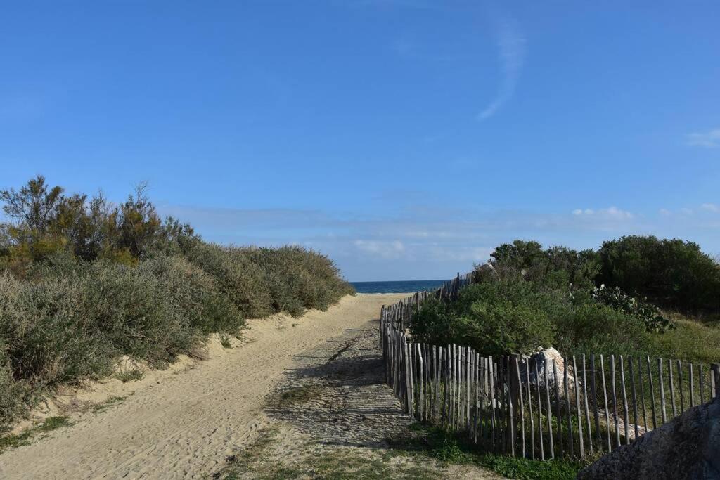 Les Goelettes - Appartement En Rdc Avec Acces Direct A La Plage Saint-Cyprien  Eksteriør billede