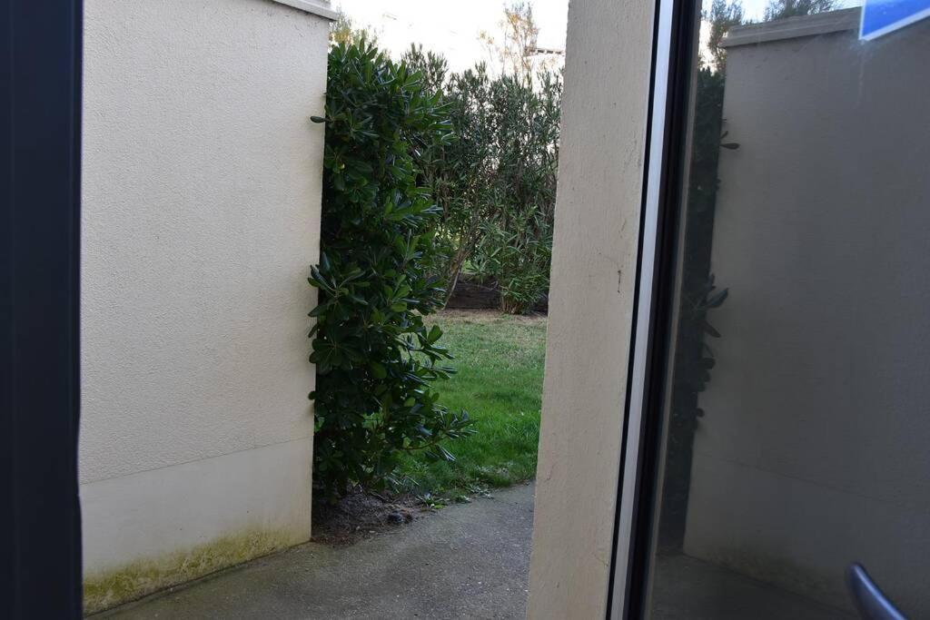 Les Goelettes - Appartement En Rdc Avec Acces Direct A La Plage Saint-Cyprien  Eksteriør billede