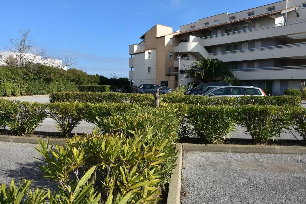 Les Goelettes - Appartement En Rdc Avec Acces Direct A La Plage Saint-Cyprien  Eksteriør billede