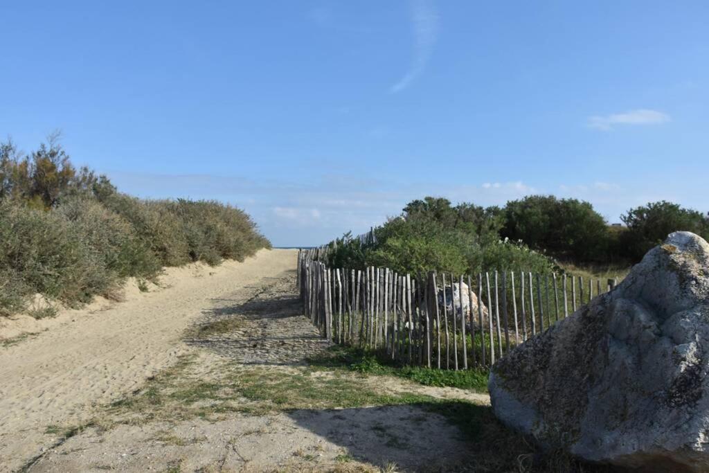 Les Goelettes - Appartement En Rdc Avec Acces Direct A La Plage Saint-Cyprien  Eksteriør billede