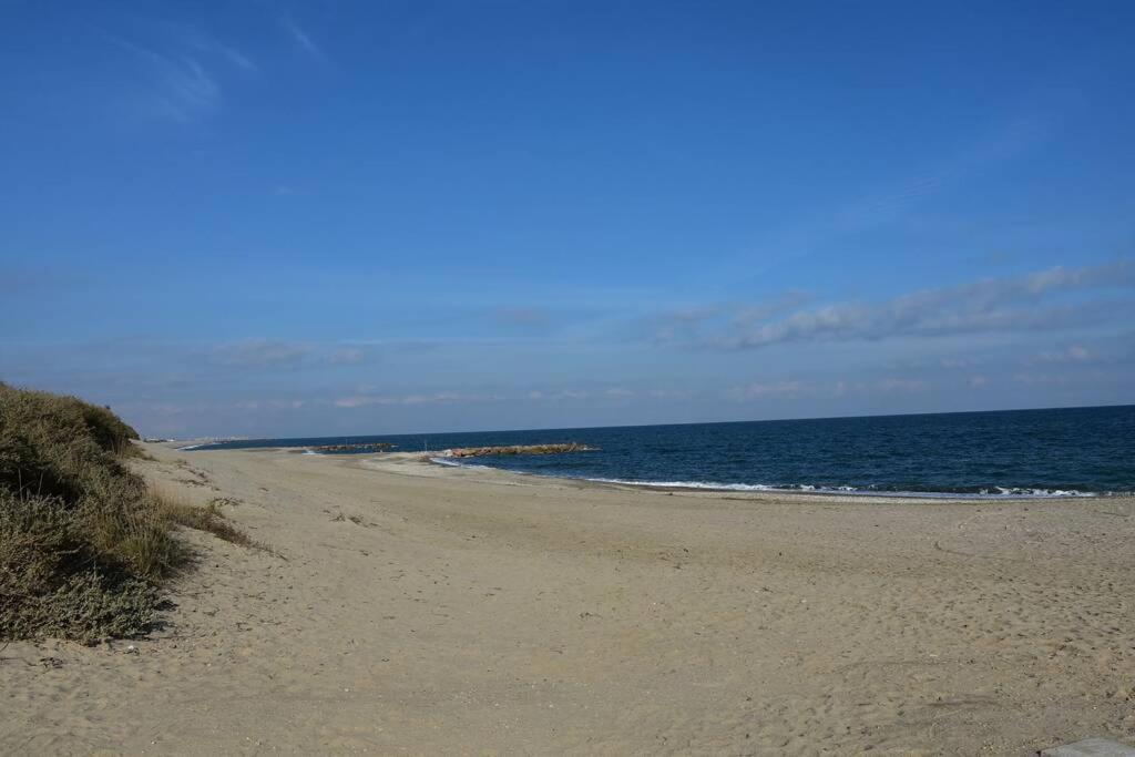 Les Goelettes - Appartement En Rdc Avec Acces Direct A La Plage Saint-Cyprien  Eksteriør billede