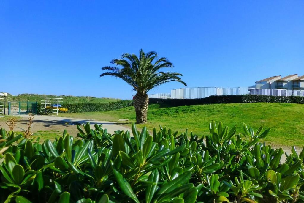 Les Goelettes - Appartement En Rdc Avec Acces Direct A La Plage Saint-Cyprien  Eksteriør billede
