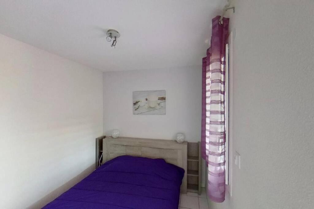 Les Goelettes - Appartement En Rdc Avec Acces Direct A La Plage Saint-Cyprien  Eksteriør billede